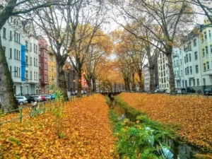 Bilk Dusseldorf