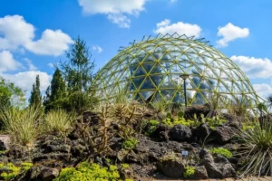 Botanischer Garten Düsseldorf