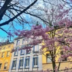 Oberbilk