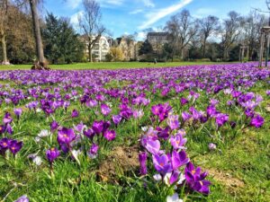 Spring in Düsseldorf