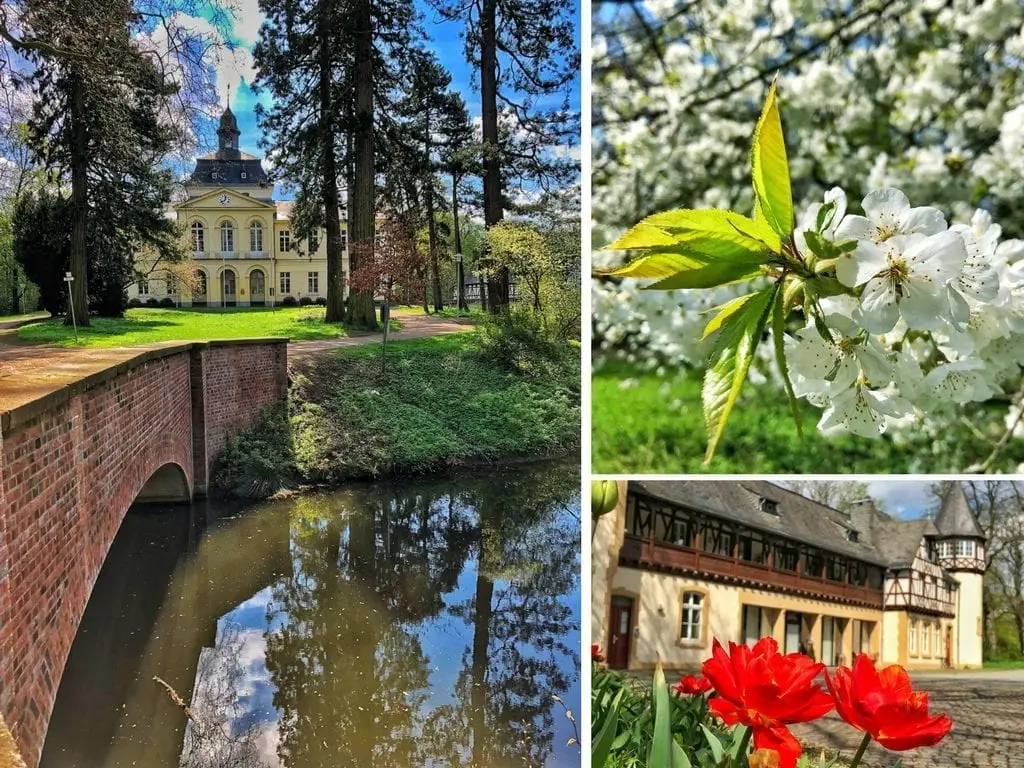 10 of the Most Beautiful Spots in Düsseldorf to Enjoy the Flowers this Spring 1