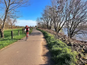 bike paths dusseldorf