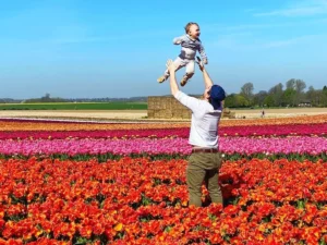 Tulips near Düsseldorf