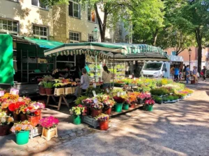 Farmers' Markets in Dusseldorf