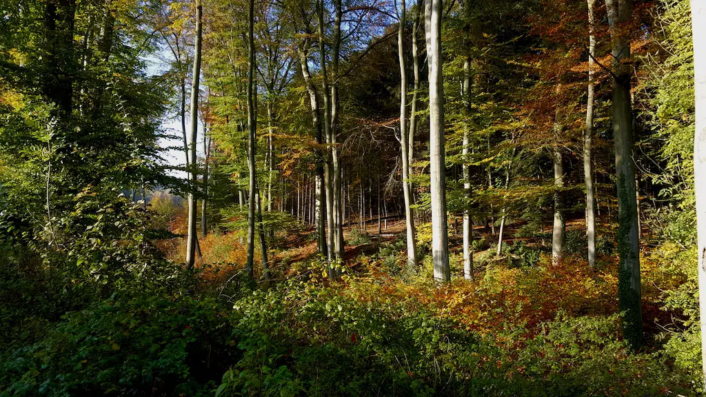 Kettwiger Panoramasteig
