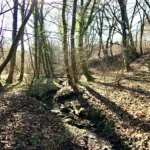 Day Trip to Solingen