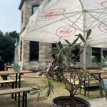 kid-friendly restaurants in dusseldorf