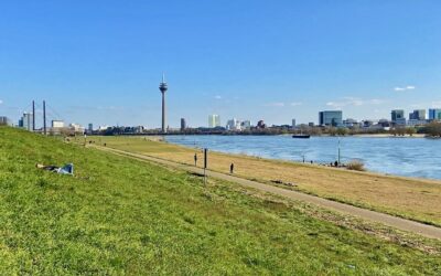 The 20 Best Places to Relax in Düsseldorf | Top Tips From The Locals