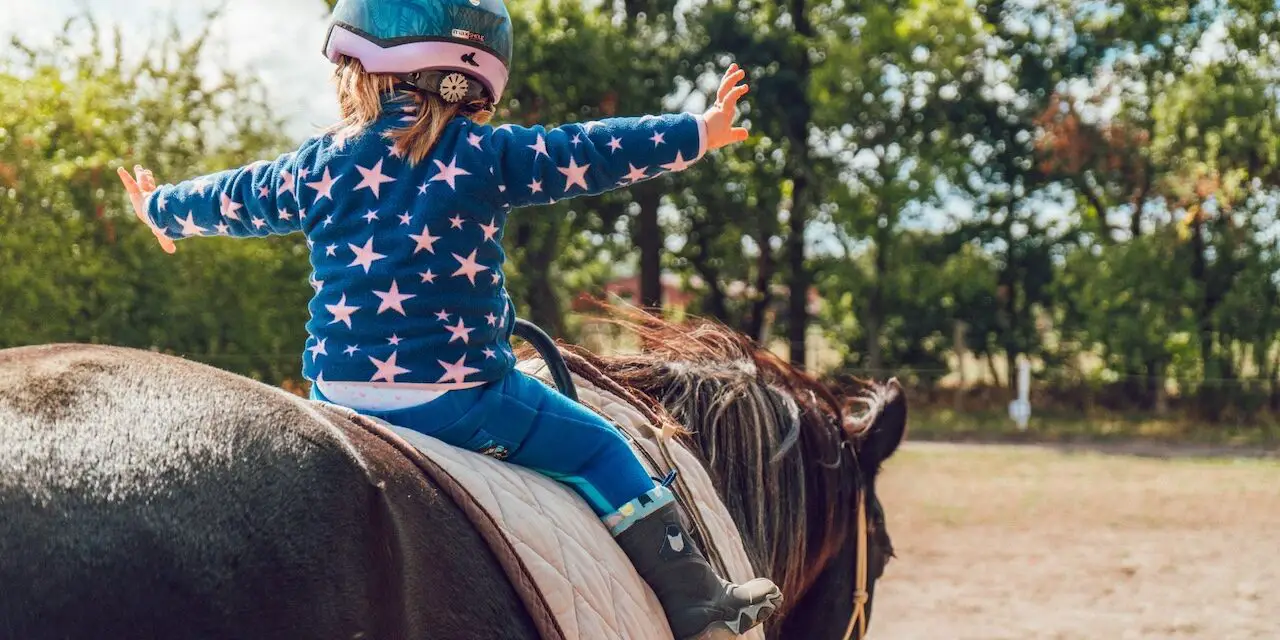 7 Exceptional Horseback Riding Schools in Dusseldorf [Locals Recommend]