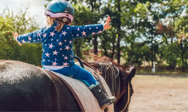 7 Exceptional Horseback Riding Schools in Dusseldorf [Locals Recommend]