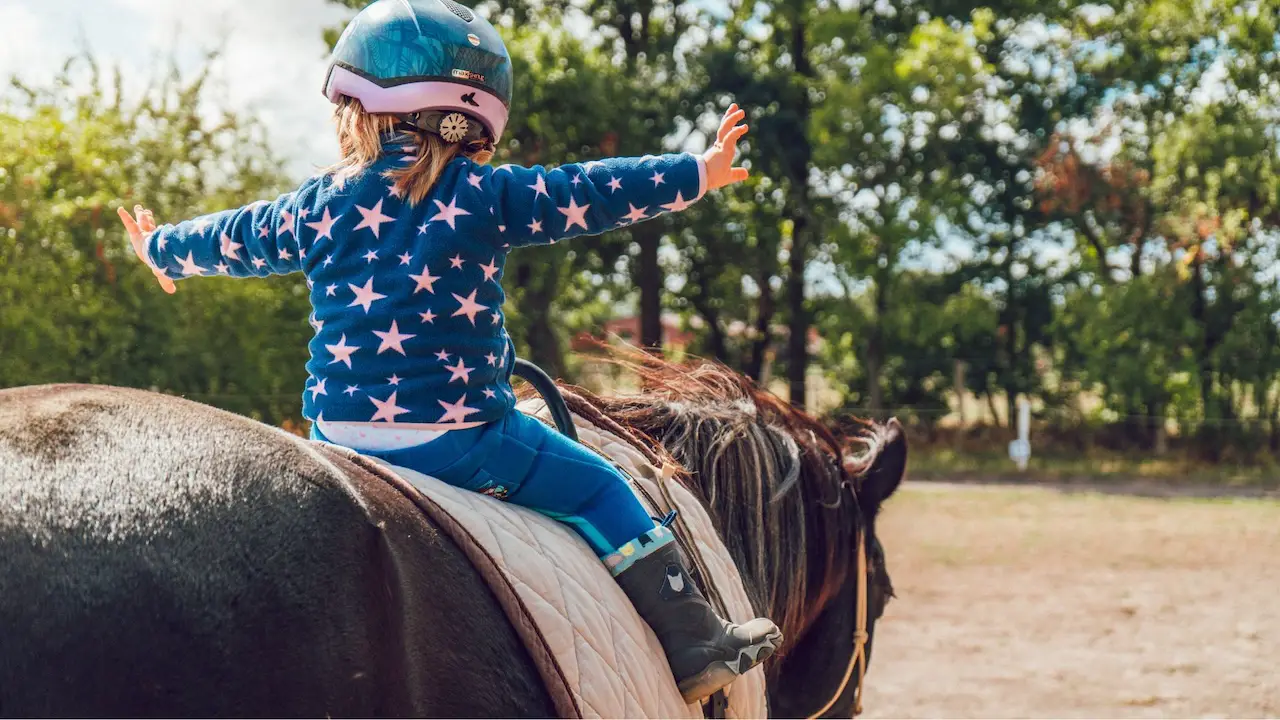 Locals Recommend These 7 Horseback Riding Schools in Dusseldorf