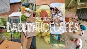 15 of The Best Bauernhofcafés Near Düsseldorf 🌾 [Farm Cafés Worth a Visit]